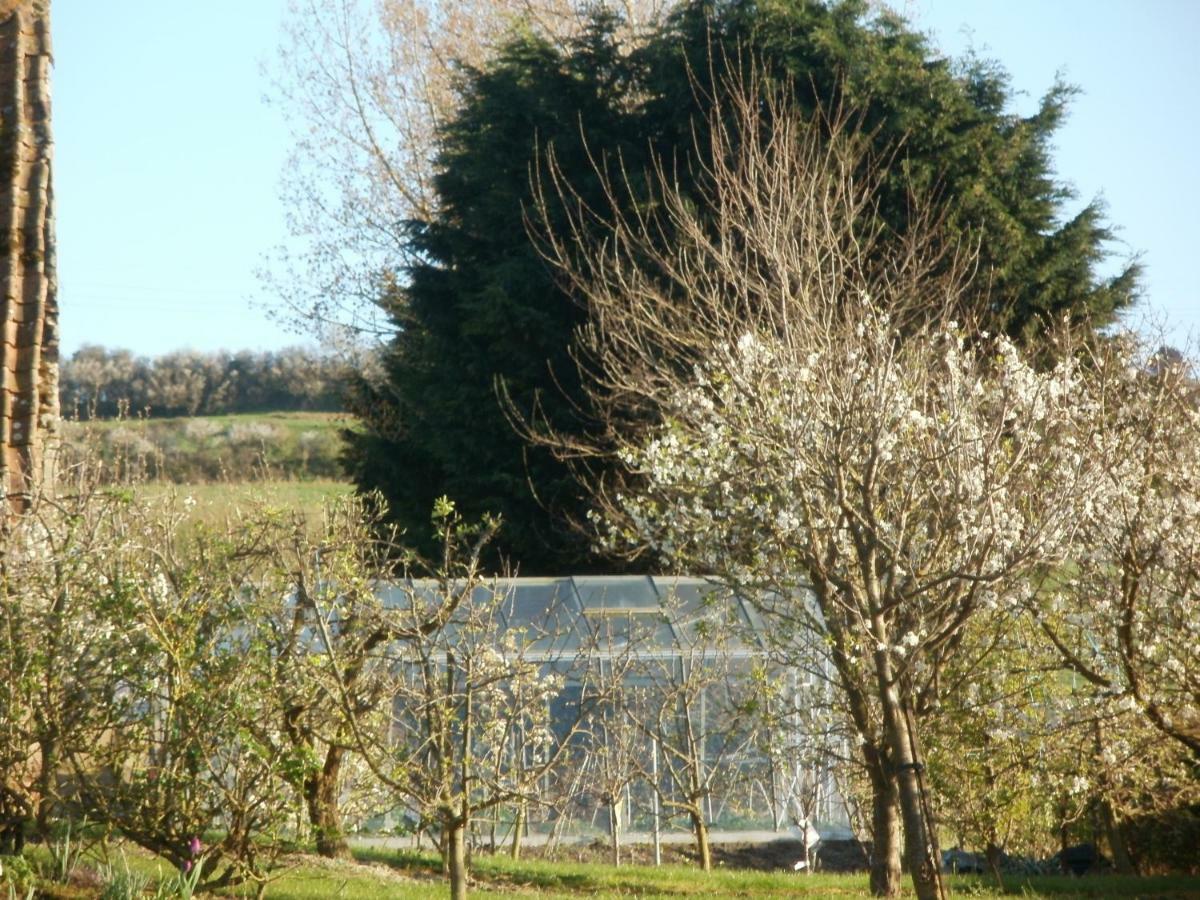La Ferme Fleurie Βίλα Echinghen Εξωτερικό φωτογραφία